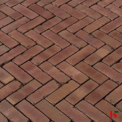 Home SierbeStrating in Hengelo